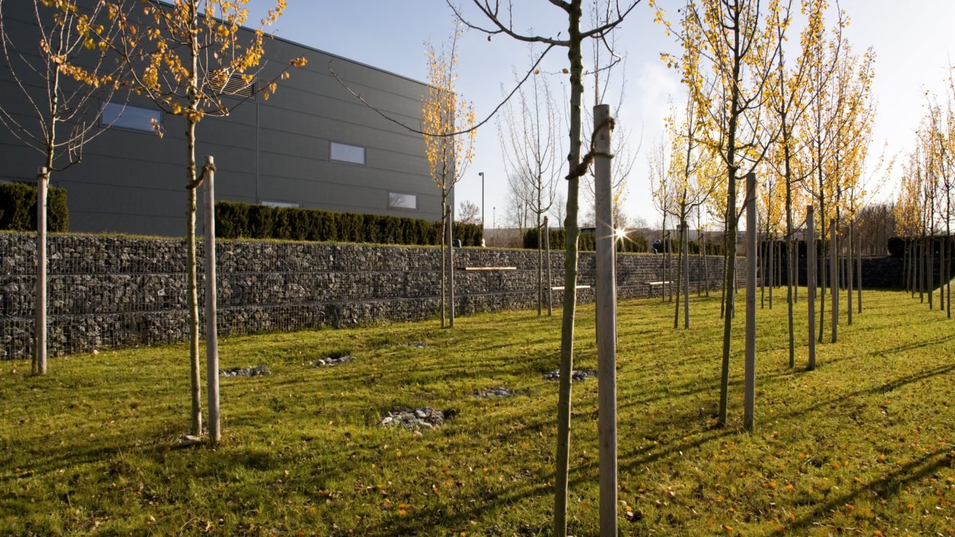 Economy | We operate sustainably: thoughtfully and with foresight | elobau