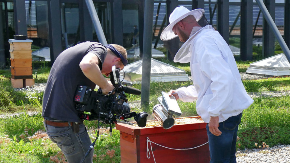 Kamerateam von arte bei elobau beim Filmen der Bienen